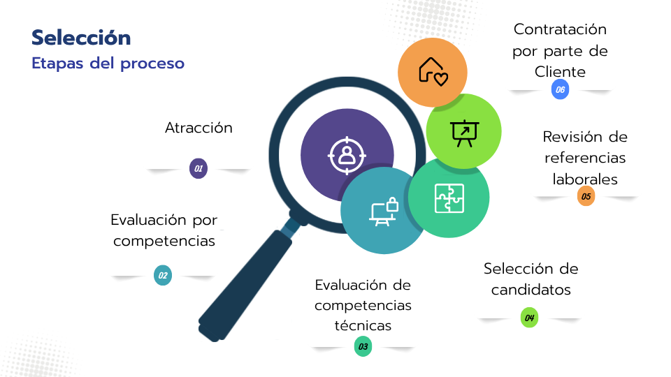Proceso de Selección
